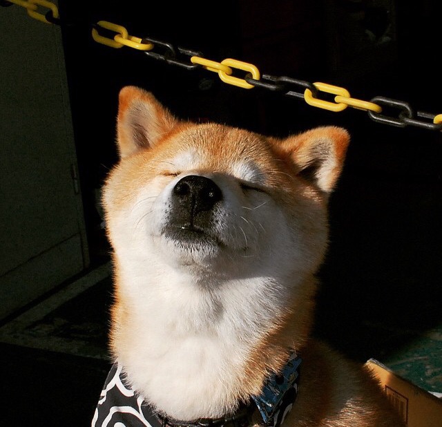 开云体育APP下载-从基多风暴到卡利丛林，厄瓜多尔的唯一逆袭