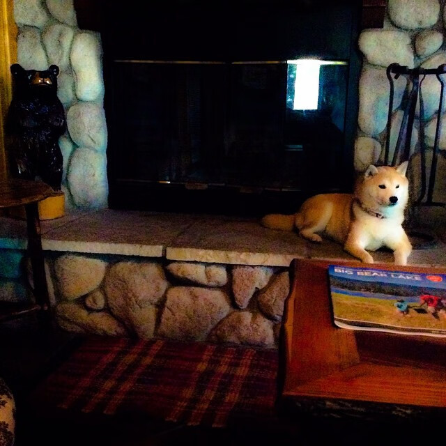 几何学般的投篮，恩比德如何在最后三秒破解掘金的防守迷宫