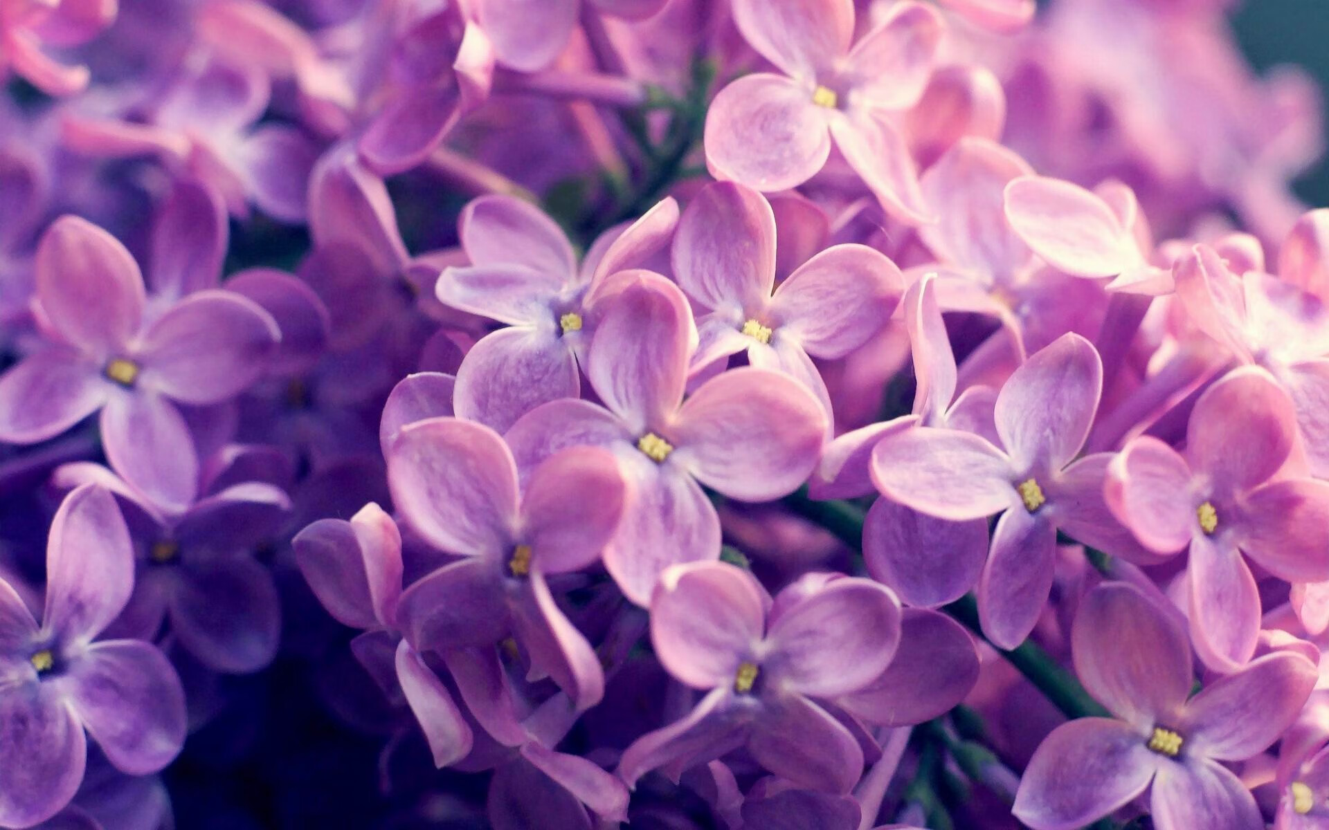 逆转的魔力，NBA季后赛焦点战与比利时沙特的足球奇迹