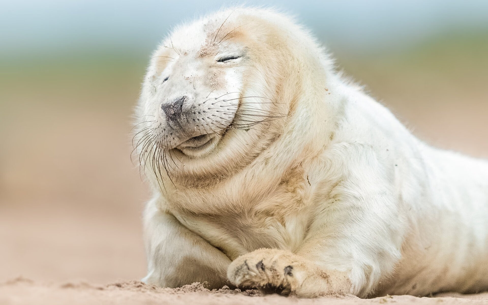 从强行终结到接管比赛,布伦森的蜕变之路