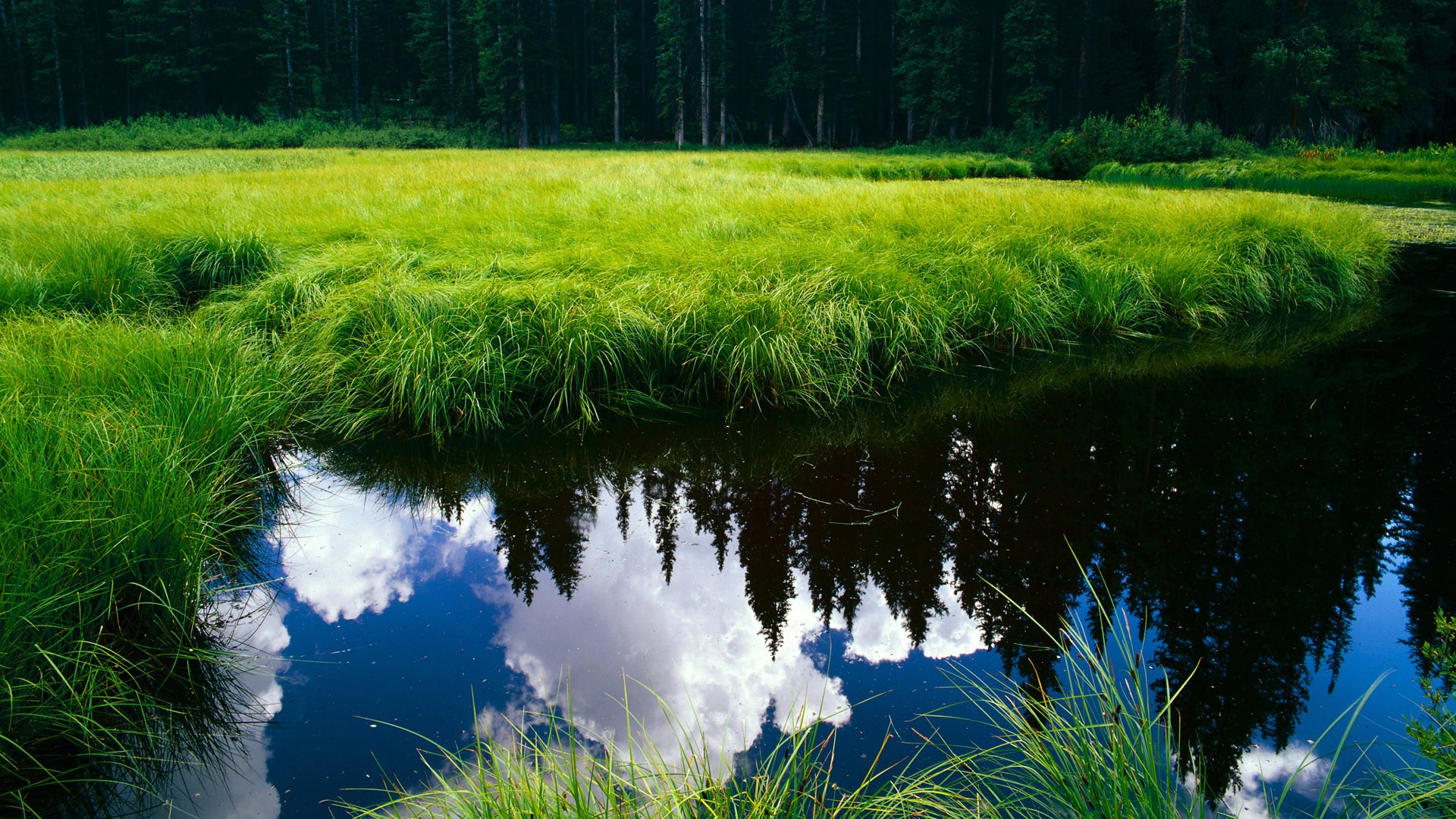 赛道如战场，F1新赛季揭幕战上演乌克兰战术压制尼斯队