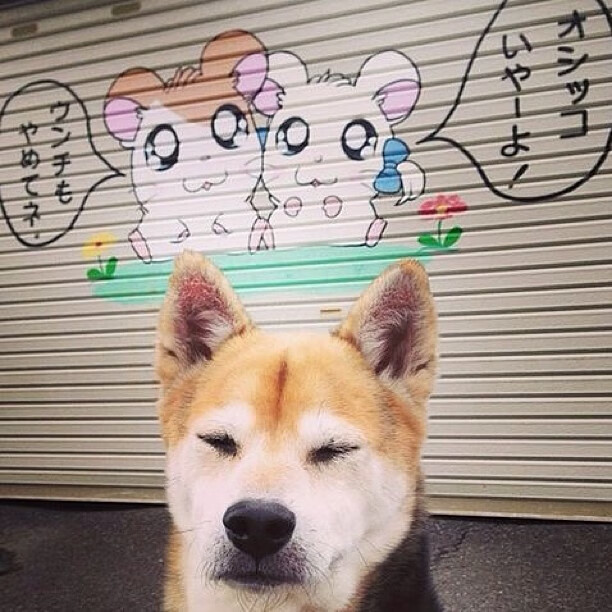 橙色风暴的耐心艺术，当巴尔韦德爆发，遇见荷兰的计算式晋级