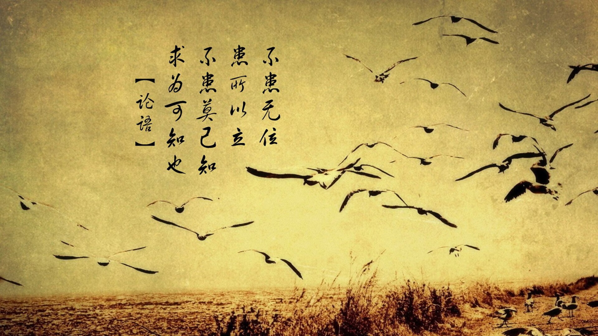 奥运周期的战术棋局，巴黎封锁奥地利之战背后的战略博弈