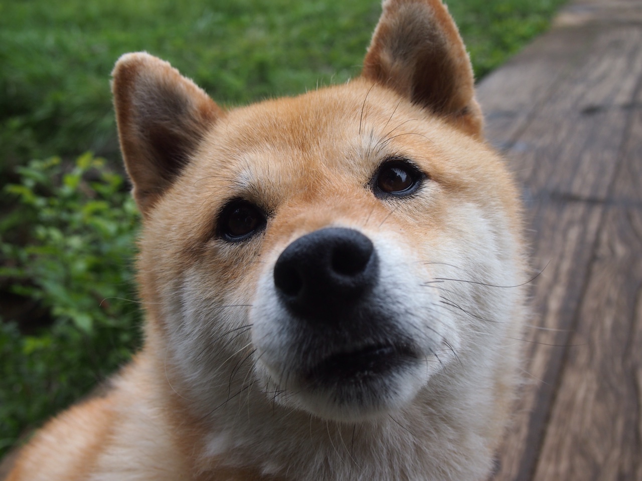 开云体育app-布克公式，他用数学破解了欧冠决赛的终极密码