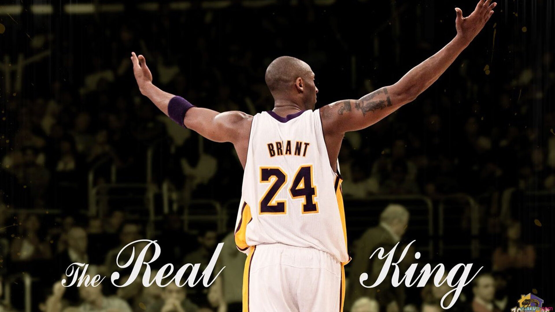 开云体育中国-新班诺克本战役，京多安在2026世界杯上的马赛征服记