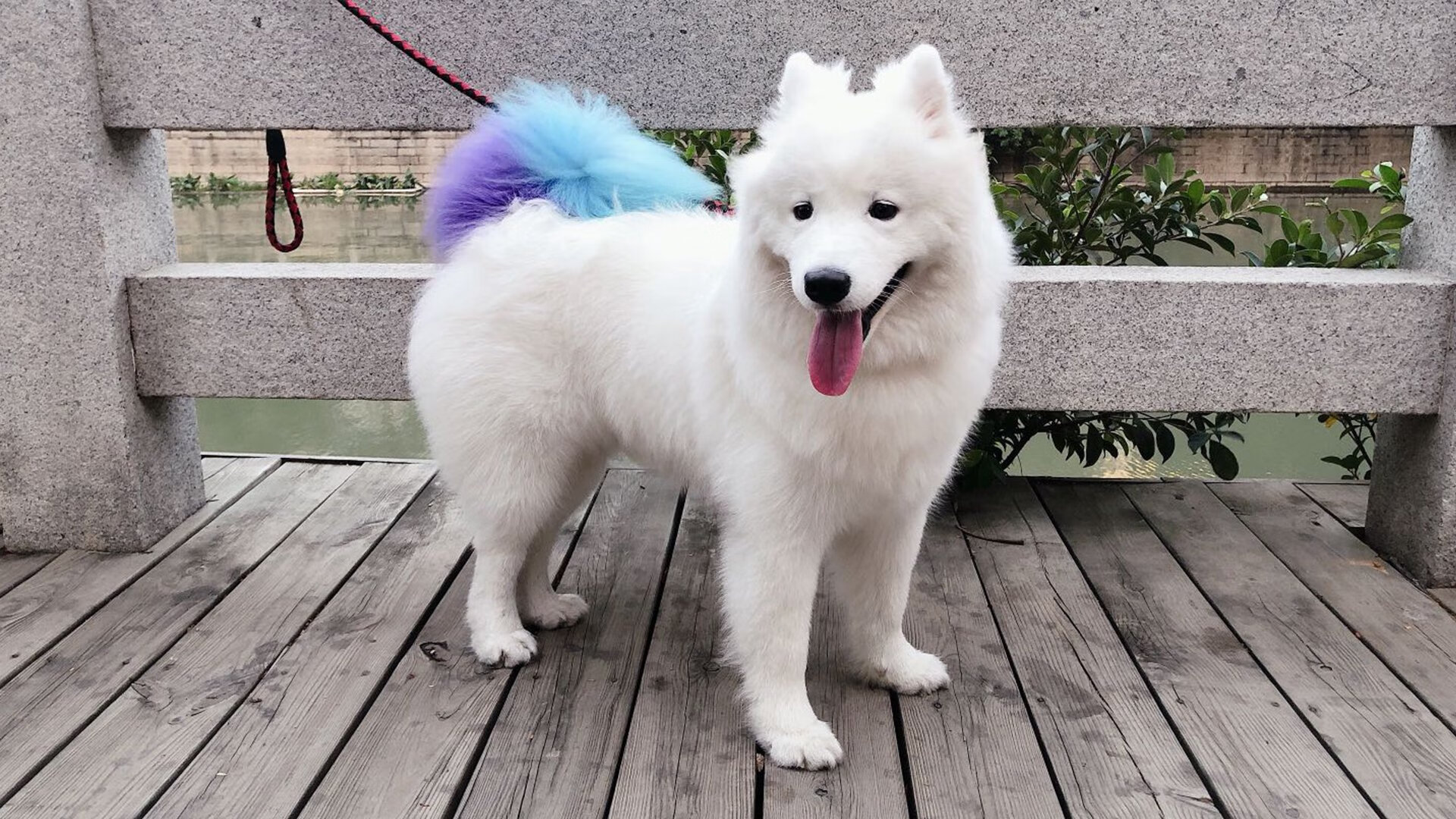 霜刃刹那，金玟哉统治攻防，奥地利奏响绝杀终响