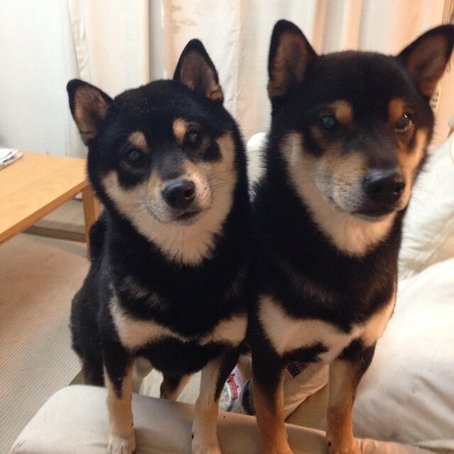 黑马觉醒，奥运周期关键战，丹麦逆袭击碎亚特兰大奥运梦