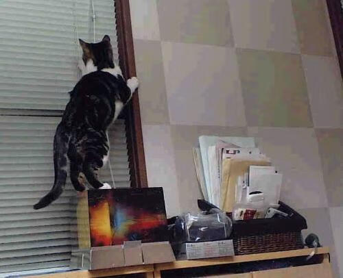 决战高原之巅，卡塞米罗如何用教科书级表现撕碎玻利维亚的魔鬼主场