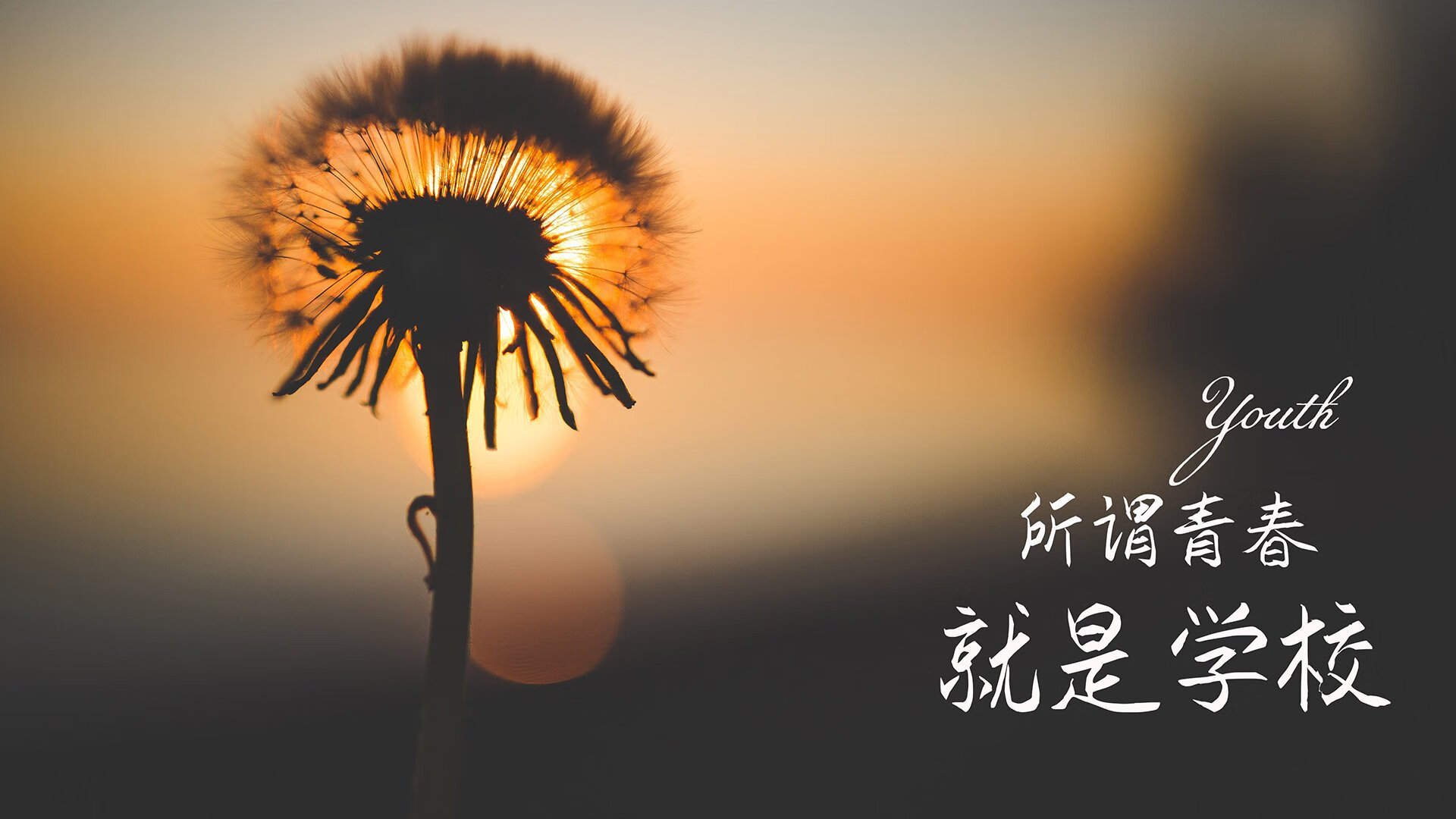 双重终结,赖斯的新生与马赛的冷刃