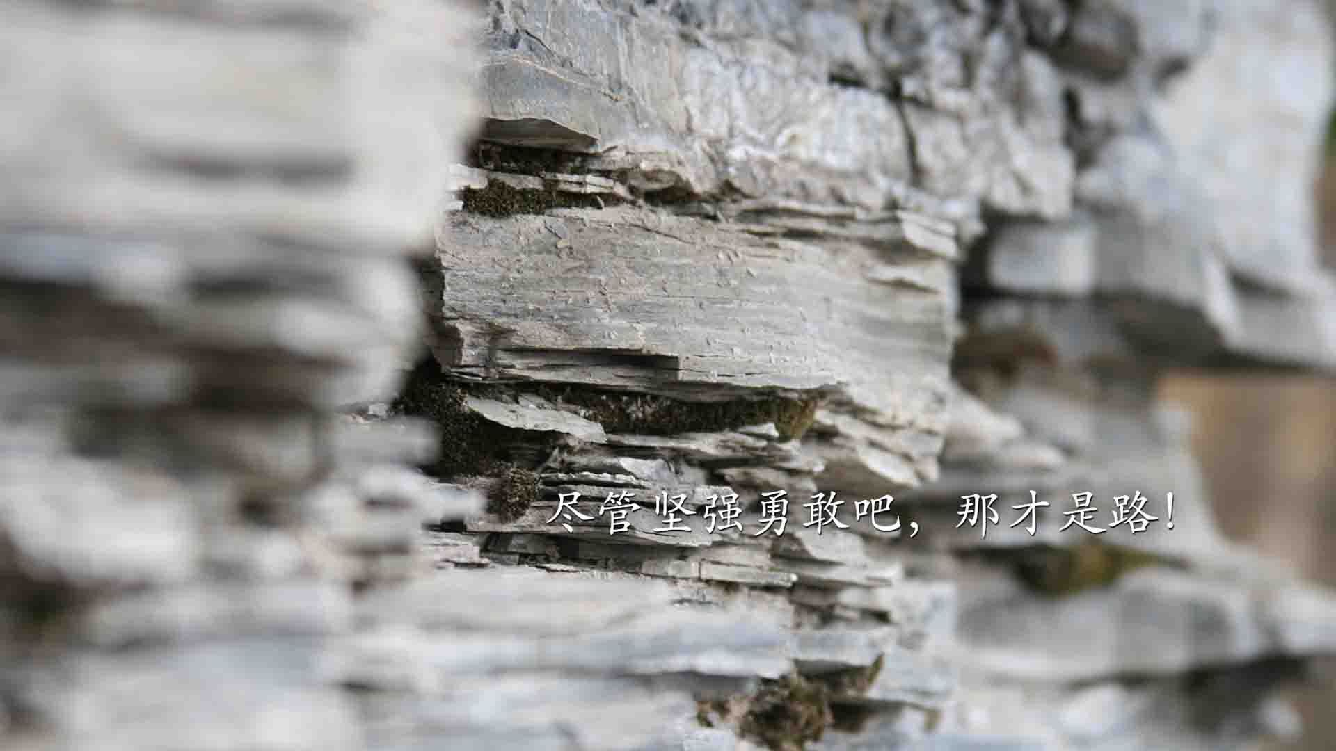 开云体育2026-以下是为你构思的文章标题和正文