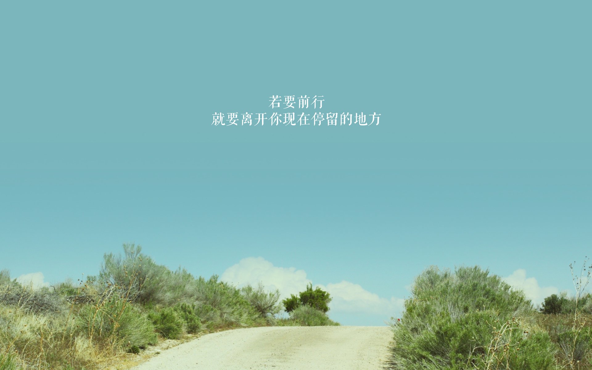 开云体育入口-沙漠之巅的星光，坎塞洛一剑封喉，墨西哥史诗绝杀伊朗登顶世界之巅